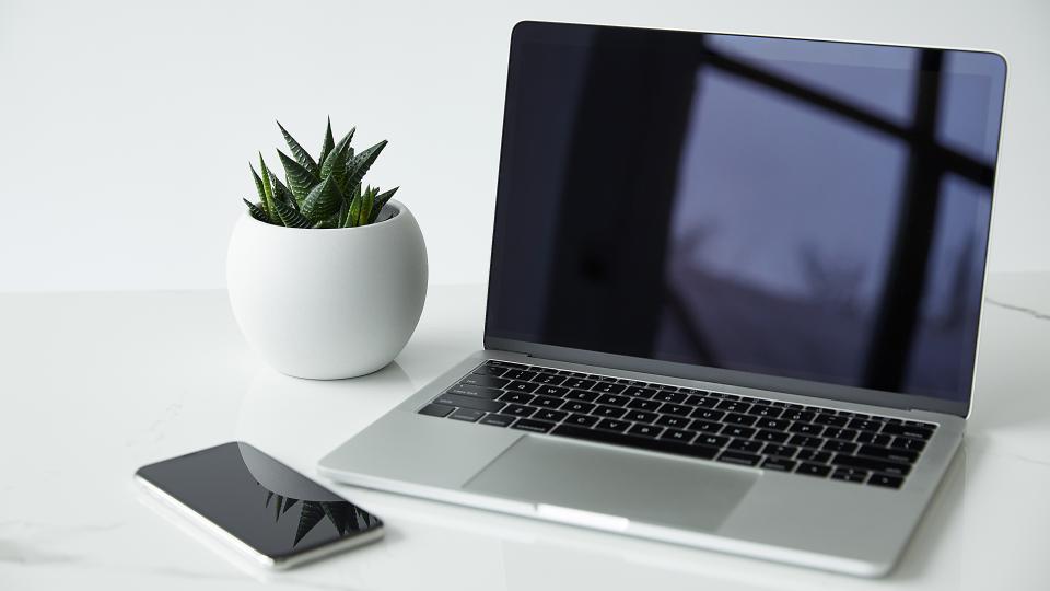 Handy, Sukkulente-Pflanze und ein Laptop auf dem Tisch